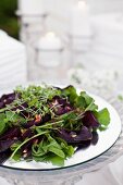 Rote Bete und Rucola Salat mit gerösteten Pinienkernen