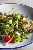 Baby leaf salad with raspberries