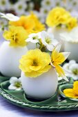 Eggshells used as miniature vases for wild tulips, primulas & saxifrage flowers