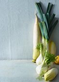 Ingredients for a vegetable salad: chicory, fennel, leek, radish
