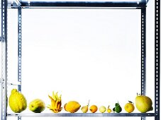 Assorted varieties of lemon on a metal shelf