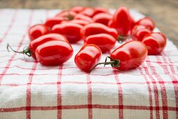 Plum tomatoes on a red & white tea towel