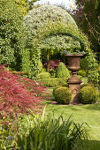 Antique planter on plinth surrounded by box balls in manicured garden