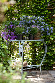 Arrangement of purple flowering garden plants on romantic garden table in front of green hedge