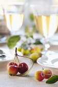 Ornamental apples as table decoration
