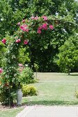 Pink blühender Rosenbogen in weitläufiger Gartenanlage