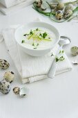 Rettichsuppe mit Spargel