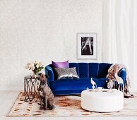 Elegantes blaues Samtsofa und weißer Polstertisch mit sitzendem Hund auf Teppich mit grafischem Muster