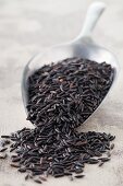 Black rice