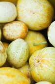 Organic Lemon Cucumbers at a Farmers Market