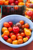 Colourful tomatoes