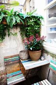 Folding chairs and table with peeling paint on terrace next to kitchen window and plant pot on table