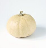 A yellow gourd