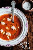 Tomato gazpacho with langoustine and olive oil