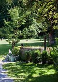 Free-range hens on summery lawn and well in nostalgic garden setting