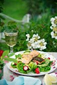 A large spring salad with salmon