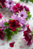 Wreath of flowers; Delosperma and geraniums