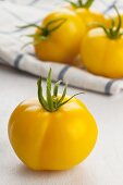 Gelbe Tomaten (Sorte Goldene Königin)