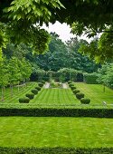 Angelegter Garten mit zwei Reihen Buchsbaumkugeln auf der Wiese