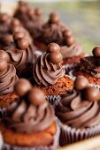 Cupcakes with chocolate frosting and chocolate balls