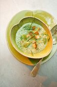 Herb foam soup with croutons