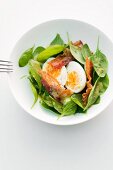 Spinach salad with bacon and egg