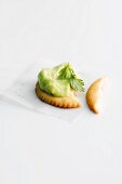 Angebissener Cracker mit Avocadocreme