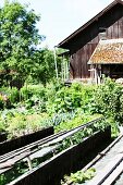 Bauerngarten mit Frühbeeten und Scheune im Hintergrund