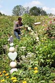 Woman cutting flowers in lush cottage garden