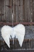 White angels-wing decoration hung on rustic wooden door