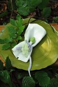 Linen napkin and crocheted ornaments on green plate in woodland