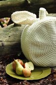 Weisses, gehäkeltes Apfel-Sitzkissen neben Teller mit Äpfeln und Birne auf Waldboden