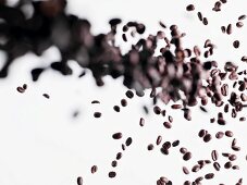 Coffee beans falling onto a white surface