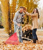 Caucasian couple raking autumn leaves