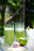 Two Apple Mojitos on a garden table