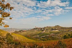 Idyllische Landschaft mit Weinbergen