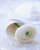 Rice and white ranunculus in paper cone