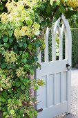 Open, wooden garden gate painted white in climber-covered brick wall