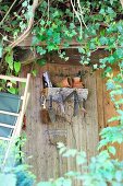 Wandbord an beranktem Gartenhaus - ein Viertelkreis Baumstamm mit praktischen Haken für allerlei nützliches Gerät