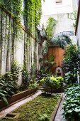 Dschungelartig begrünter, schmaler Innenhof in Buenos Aires