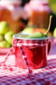 Pear in red enamel mug decorated with ribbon on red and white gingham tablecloth in garden