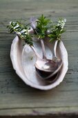 Silver spoons with sprigs of myrtle in vintage metal dish
