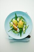 Stuffed courgette flowers on cucumber strips with salmon