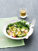 Rocket salad with cucumber, radishes, quail's eggs and a mustard vinaigrette