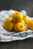 Yuzu fruits on a tea towel