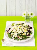 Gemischter Blattsalat mit Radieschen und Wachteleiern