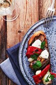 Tartine with grilled vegetables and mozzarella cheese