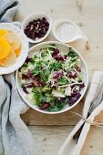 A mixed leaf salad with citrus fruits, cranberries and a yogurt dressing