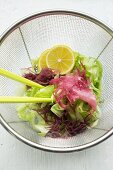 Gemischter Blattsalat mit roten Algen und Yuzuscheiben