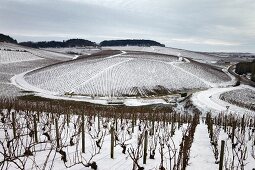 Grand-Cru-Weinberge von Chablis von Les Preuses mit Vaudesir, Grenouilles, Valmur und Les Clos (Yonne, Frankreich)